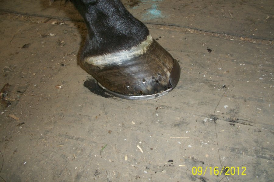 000_0030.jpg