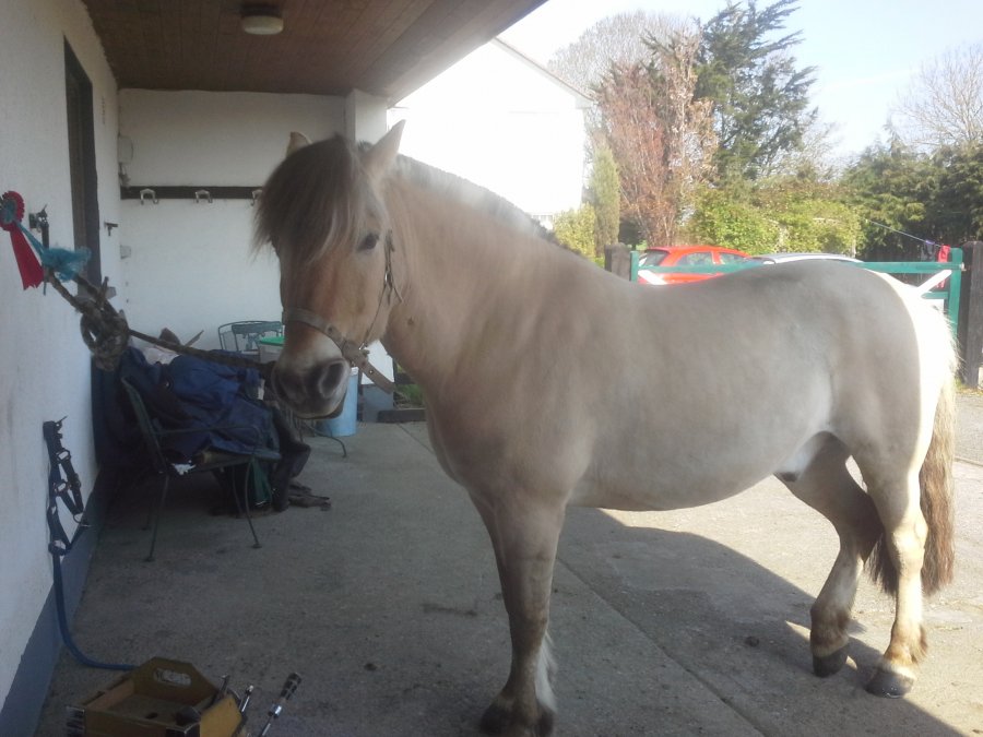 20150423_105318.jpg