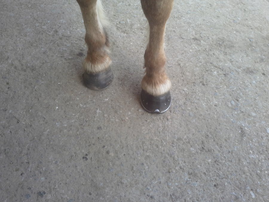 20150423_114206.jpg