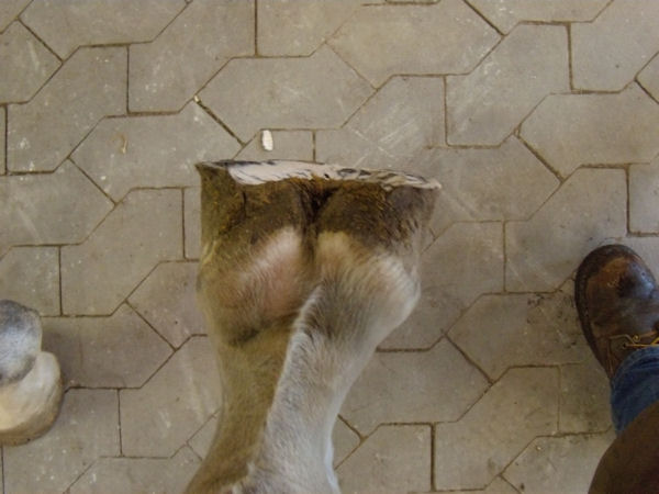 Bolhedevej 21 002a.jpg