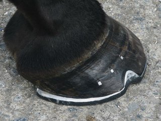 Clonfert 1.jpg