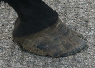 Clonfert 2.jpg