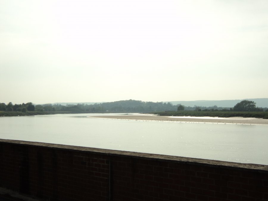 DSC00505.JPG