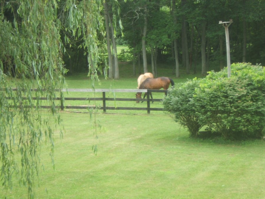 DSCF4725.JPG
