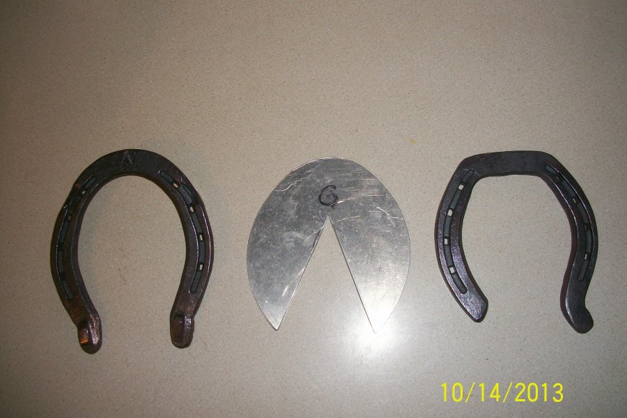 Ground surface - hinds.JPG