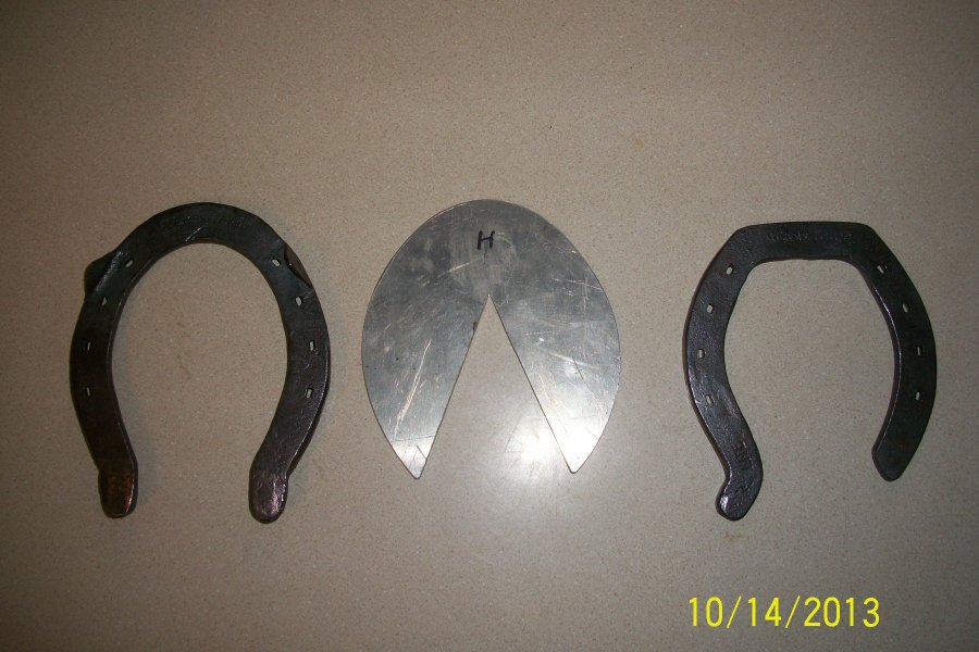 Hoof surface - hinds.JPG