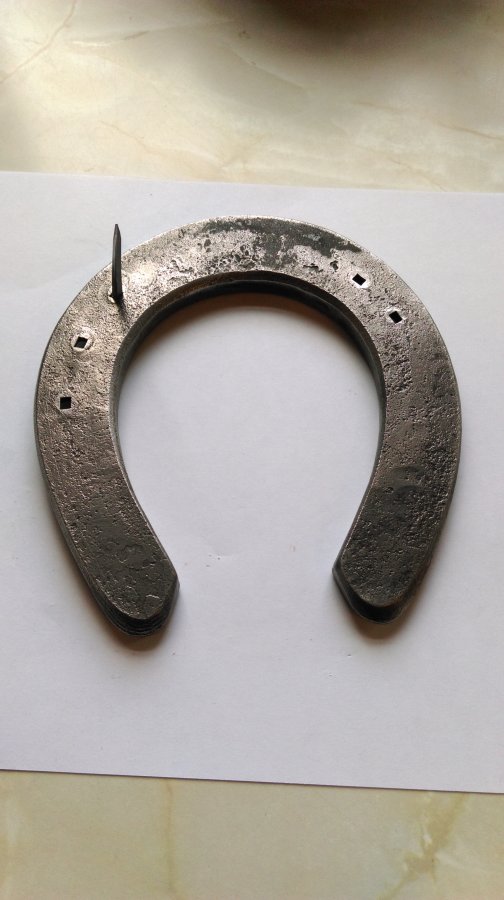 IMAG0287.jpg