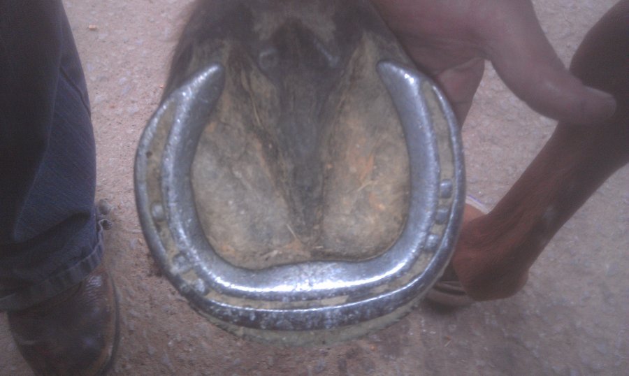 IMAG0422.jpg
