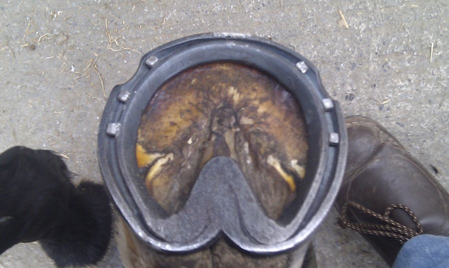 IMAG0523.jpg