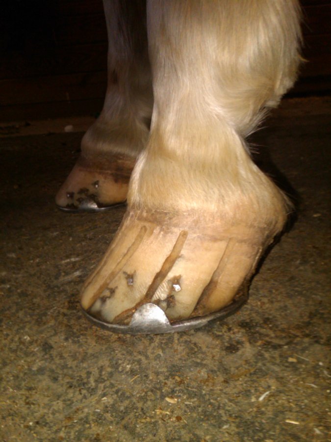 IMG00004-20101204-1252.jpg