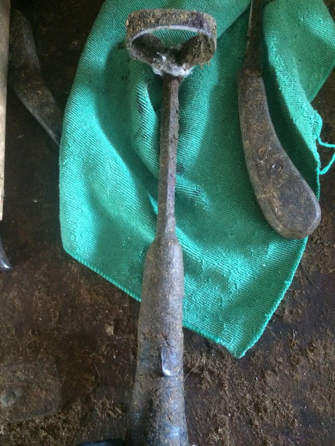 IMG957367.jpg