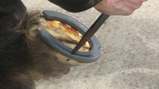 IMG_8727.jpg