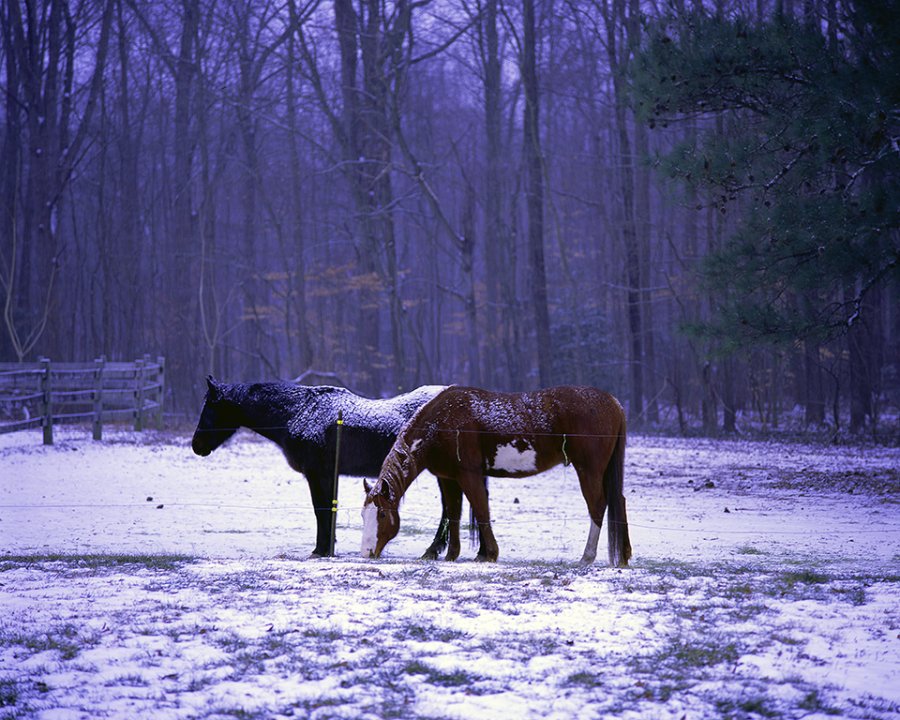 Jan201301.jpg