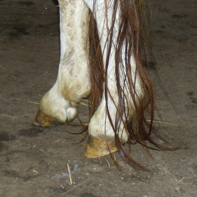 Koldingvej 120a.jpg
