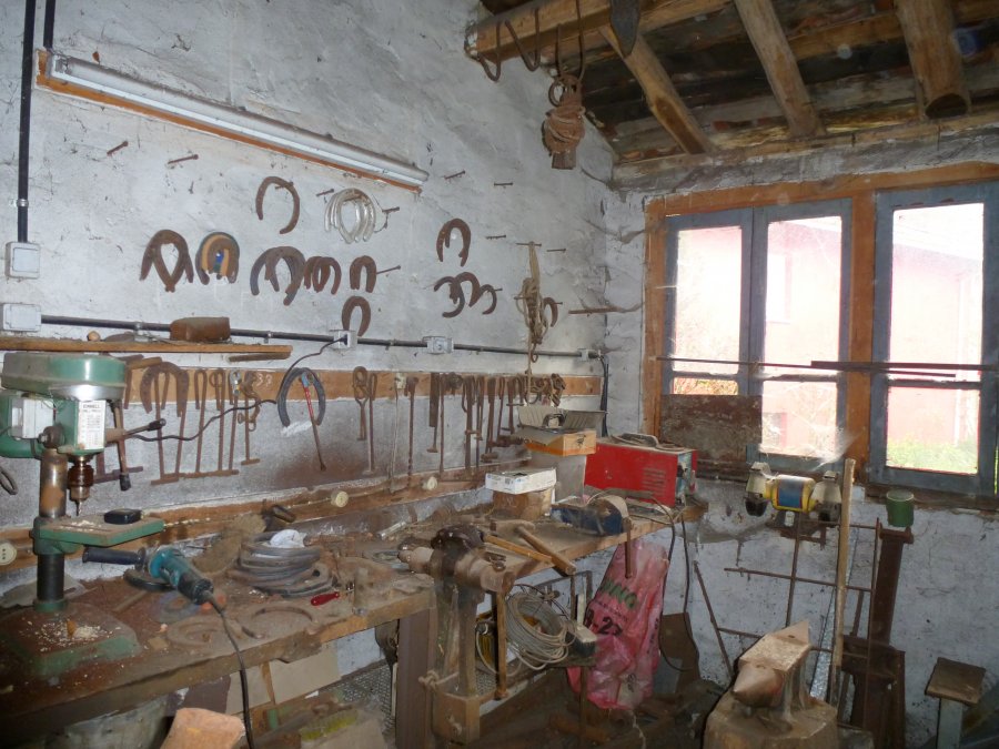 P1000669.JPG
