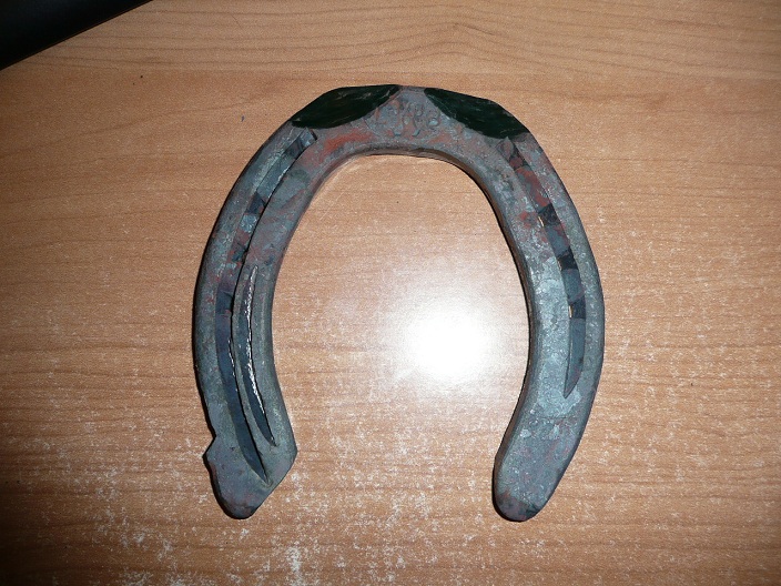P1060105.JPG