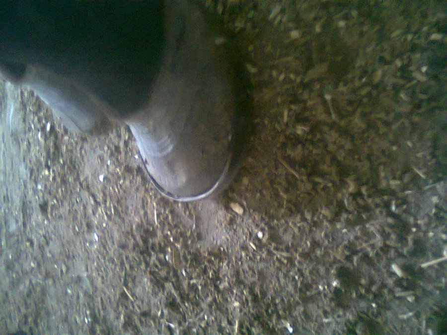 Photo0122.jpg