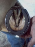 IMG_20120322_102511.jpg