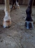 IMG_20120322_105725.jpg