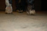 DSC_3937.JPG