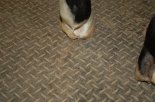DSC_3939.JPG