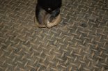 DSC_3940.JPG
