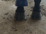 Hefner foot 8.jpg